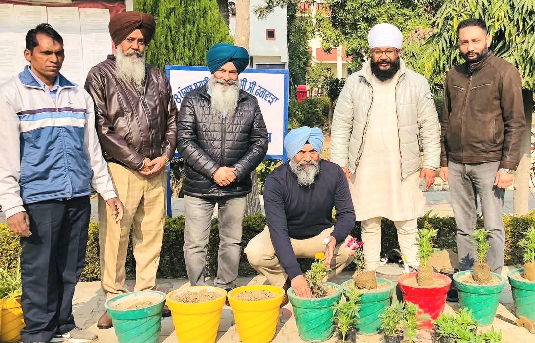 Flowering plants planted in the campus of Sikh National College